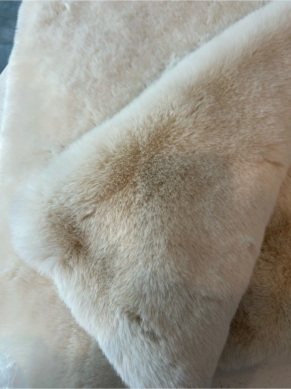 POTTERY BARN Mink Body Pillow Cover Ivory NWOT RARE